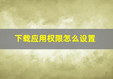 下载应用权限怎么设置