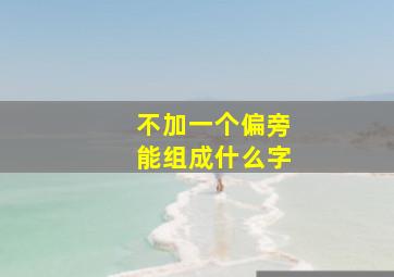 不加一个偏旁能组成什么字