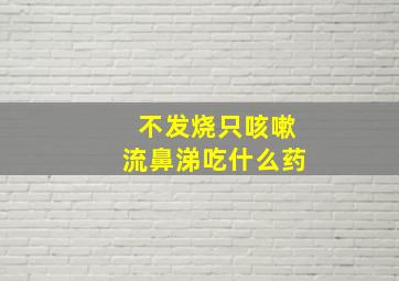 不发烧只咳嗽流鼻涕吃什么药