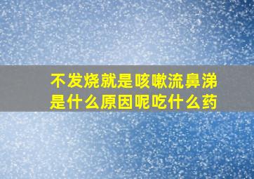 不发烧就是咳嗽流鼻涕是什么原因呢吃什么药