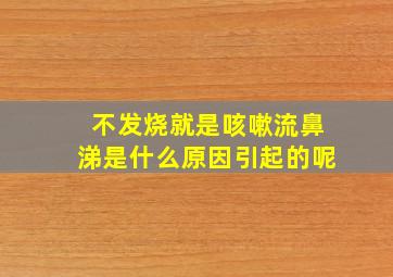 不发烧就是咳嗽流鼻涕是什么原因引起的呢