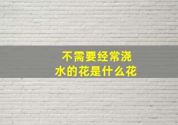 不需要经常浇水的花是什么花