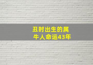 丑时出生的属牛人命运43年