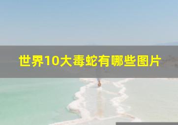 世界10大毒蛇有哪些图片