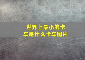 世界上最小的卡车是什么卡车图片