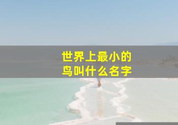 世界上最小的鸟叫什么名字