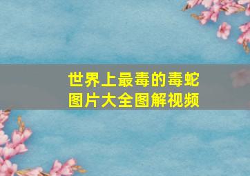 世界上最毒的毒蛇图片大全图解视频