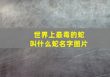 世界上最毒的蛇叫什么蛇名字图片