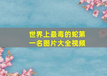 世界上最毒的蛇第一名图片大全视频