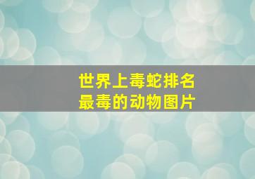 世界上毒蛇排名最毒的动物图片