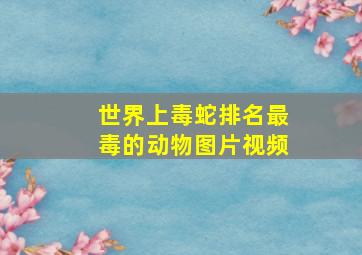 世界上毒蛇排名最毒的动物图片视频