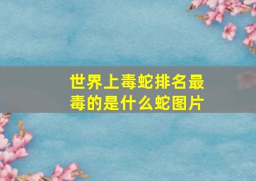 世界上毒蛇排名最毒的是什么蛇图片