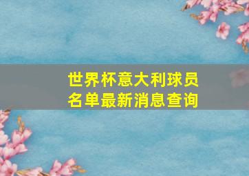 世界杯意大利球员名单最新消息查询