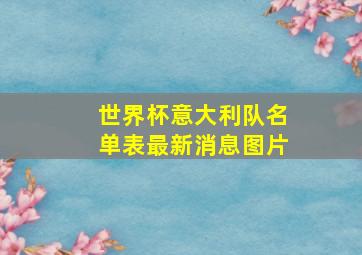 世界杯意大利队名单表最新消息图片