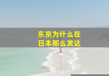 东京为什么在日本那么发达