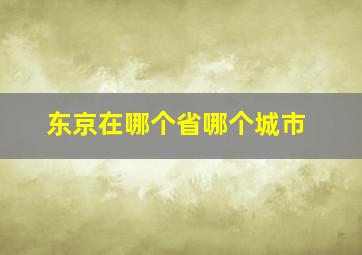 东京在哪个省哪个城市