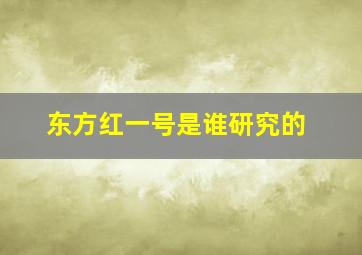 东方红一号是谁研究的