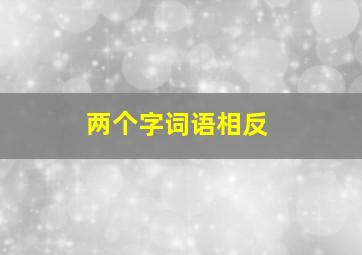 两个字词语相反