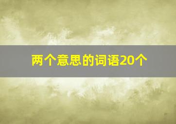 两个意思的词语20个