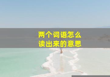 两个词语怎么读出来的意思