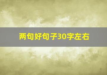 两句好句子30字左右