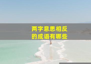 两字意思相反的成语有哪些