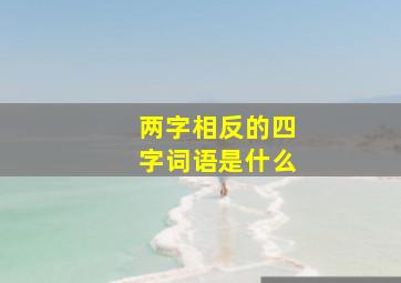 两字相反的四字词语是什么