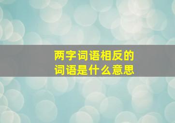 两字词语相反的词语是什么意思