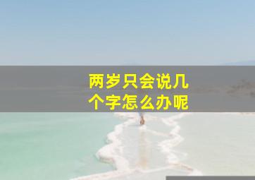 两岁只会说几个字怎么办呢