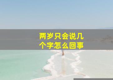 两岁只会说几个字怎么回事