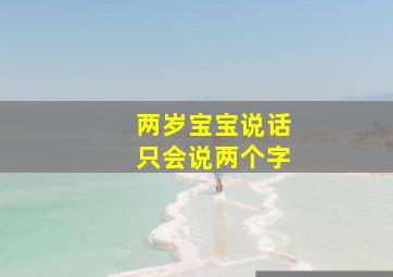 两岁宝宝说话只会说两个字