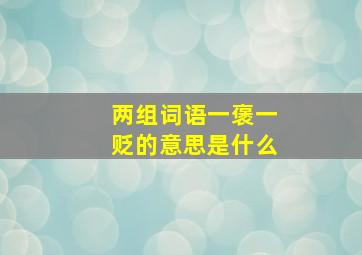 两组词语一褒一贬的意思是什么