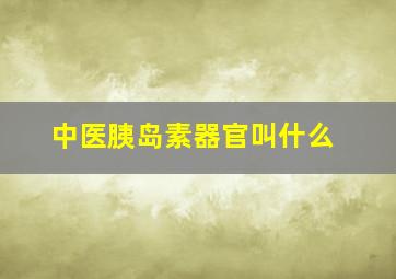 中医胰岛素器官叫什么