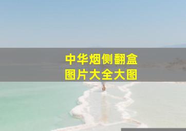 中华烟侧翻盒图片大全大图