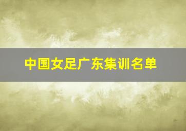 中国女足广东集训名单