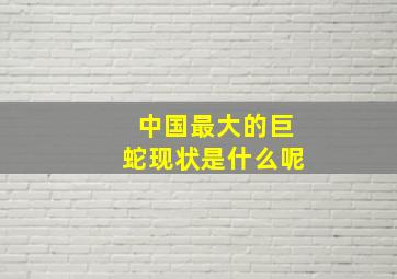 中国最大的巨蛇现状是什么呢