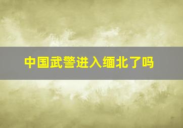 中国武警进入缅北了吗