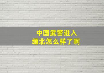 中国武警进入缅北怎么样了啊