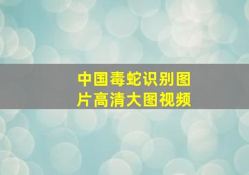 中国毒蛇识别图片高清大图视频