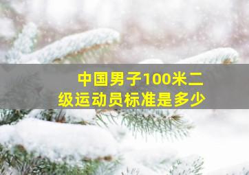 中国男子100米二级运动员标准是多少