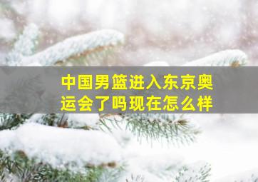 中国男篮进入东京奥运会了吗现在怎么样