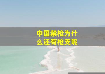 中国禁枪为什么还有枪支呢