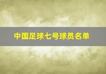 中国足球七号球员名单