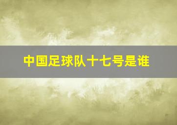 中国足球队十七号是谁