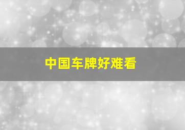 中国车牌好难看