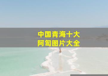 中国青海十大阿訇图片大全