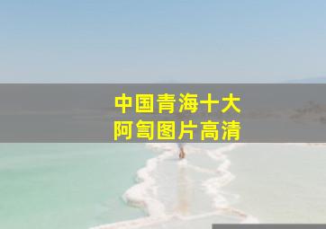 中国青海十大阿訇图片高清