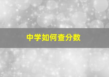 中学如何查分数