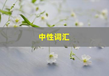 中性词汇