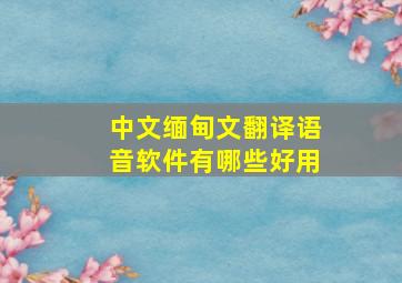 中文缅甸文翻译语音软件有哪些好用